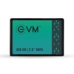 EVM 512GB 2.5-Inch SATA III Internal SSD – 550MBs Read & 500MBs Write, 3D NAND, 5-Year Warranty, Laptop & Desktop Solid State Drive (EVM25512GB)